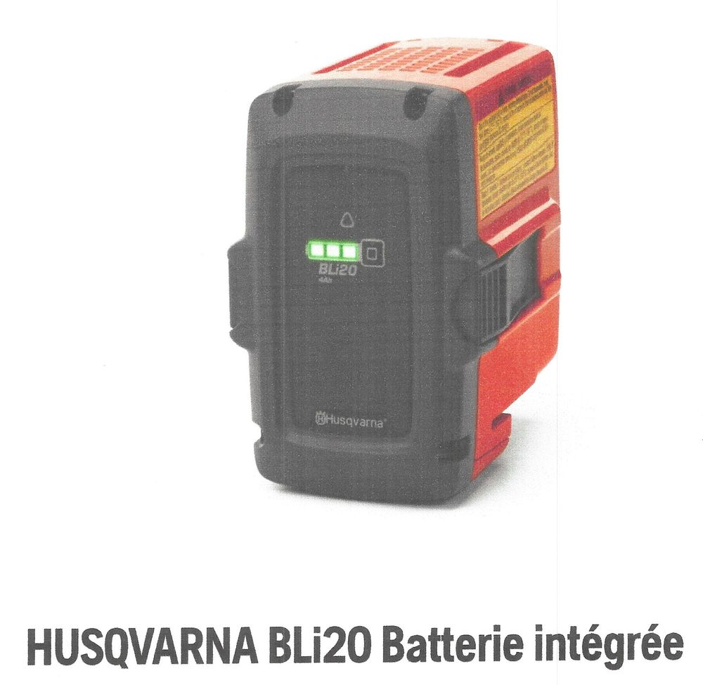 LOT Tondeuse + Coupe-Bordure + 1 Batterie et son Chargeur Jardin