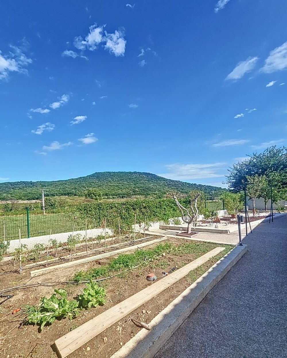 Vente Villa À propos de ce bien
Je mets en cette villa de 8 pièces Fontès
