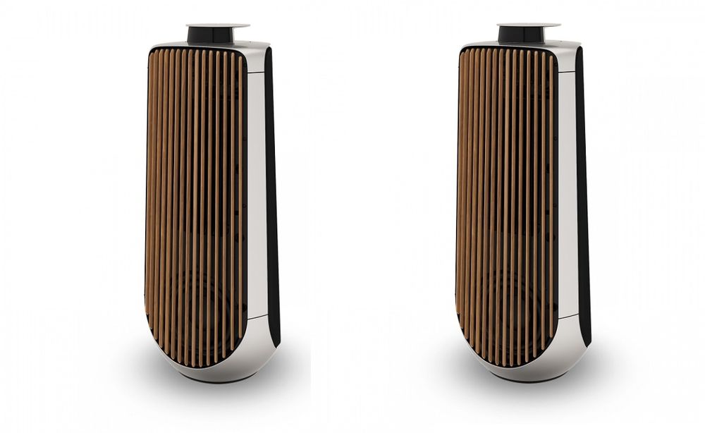 B&amp;O (Bang &amp; Olufsen) BeoLab 50 Audio et hifi