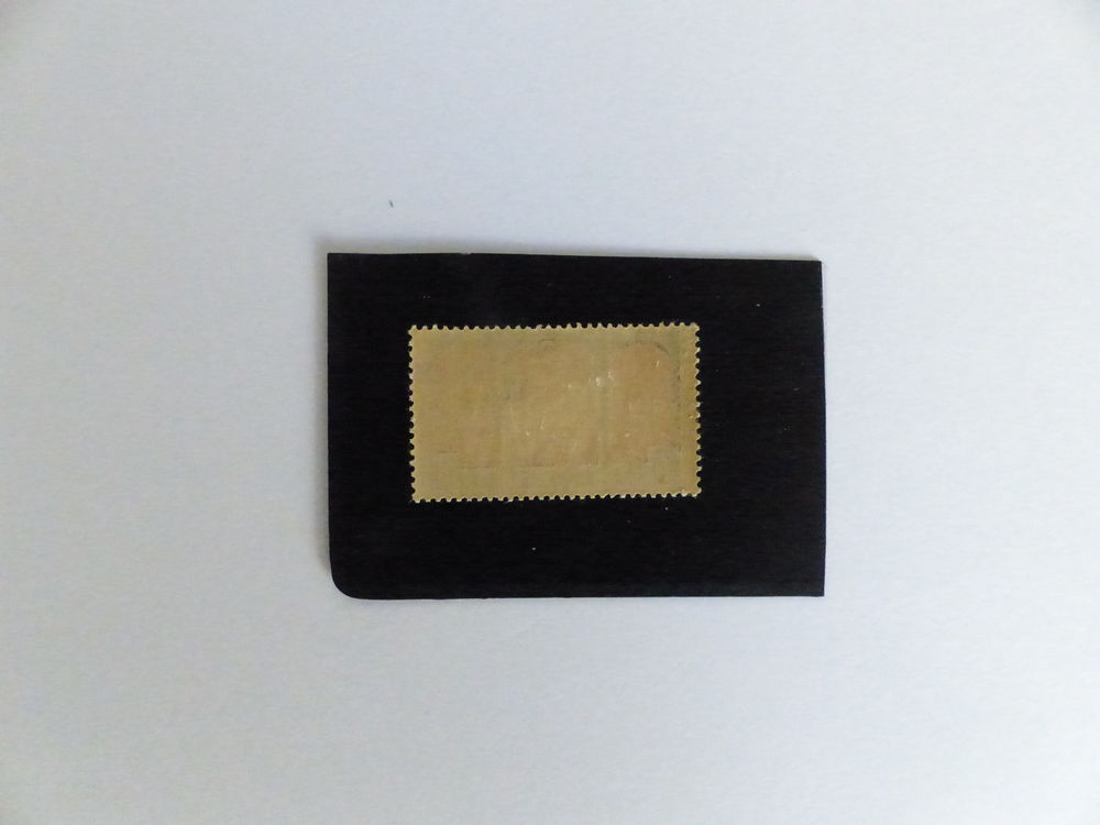 TIMBRE 263 NEUF ** COTE 7 € 