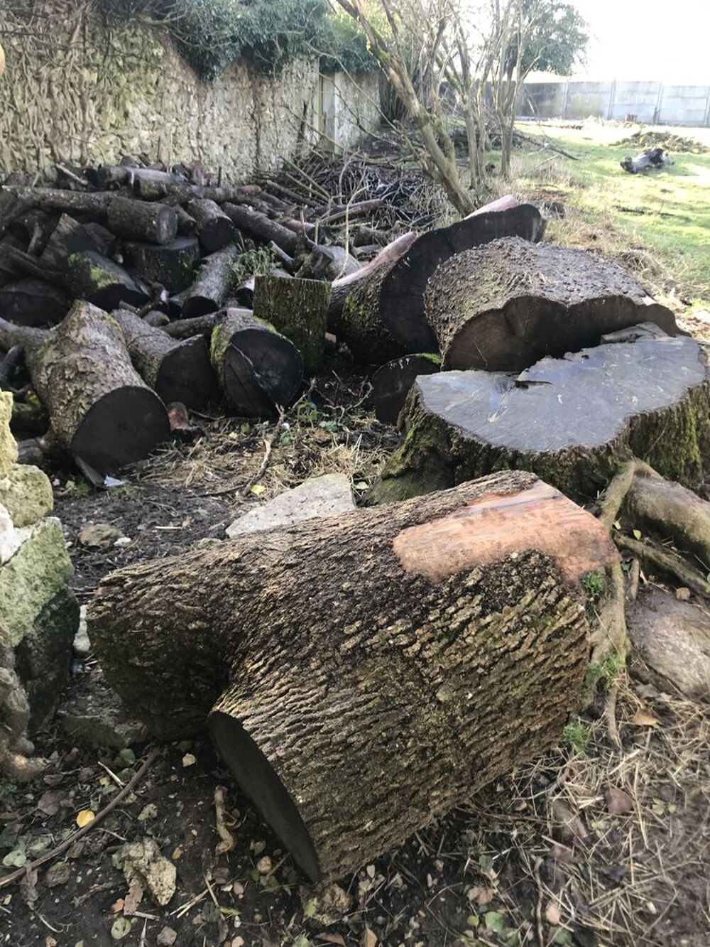 Bois ( non coup&eacute;) &agrave; donner dans le 77 Jardin