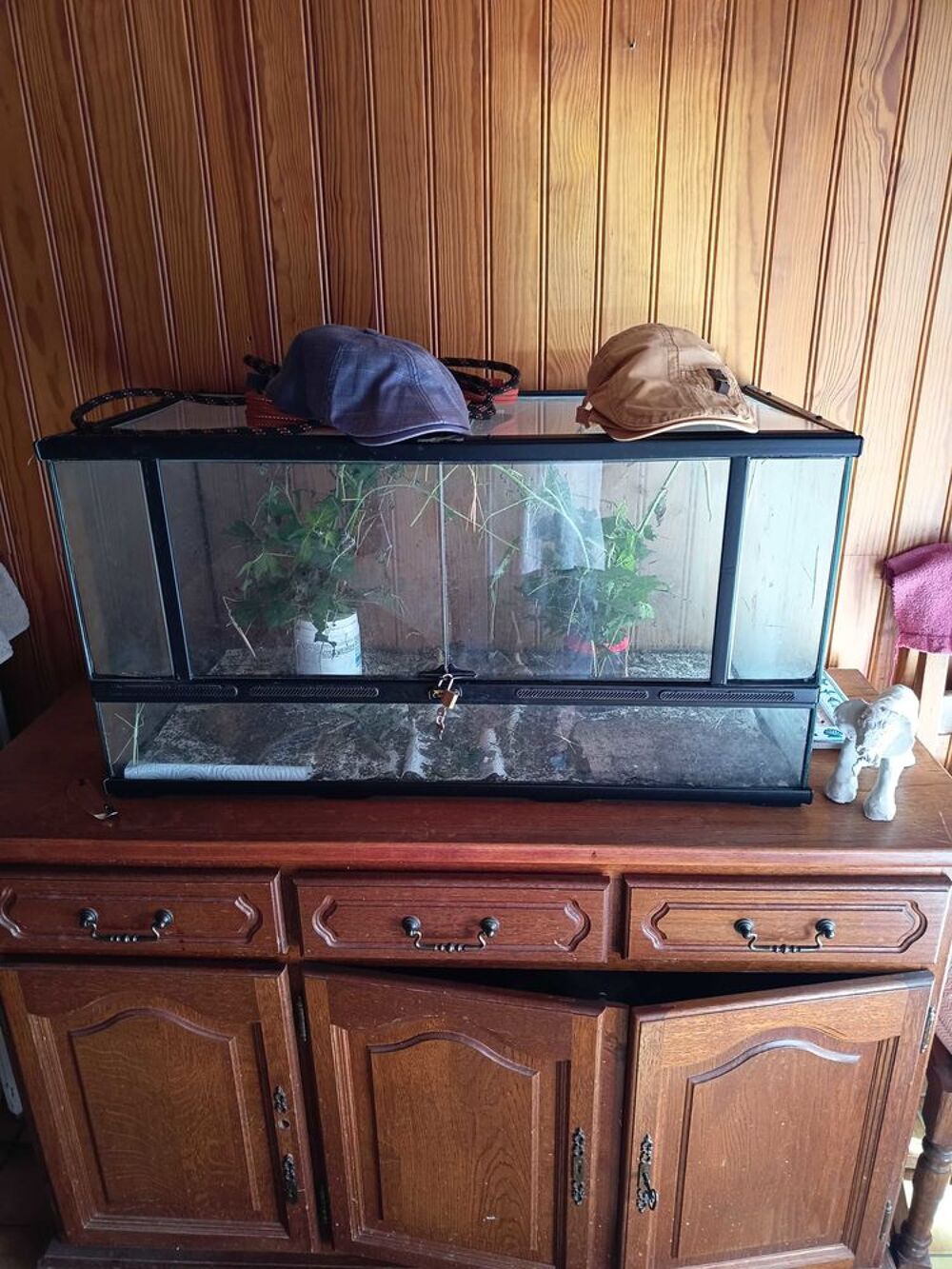 terrarium Bricolage