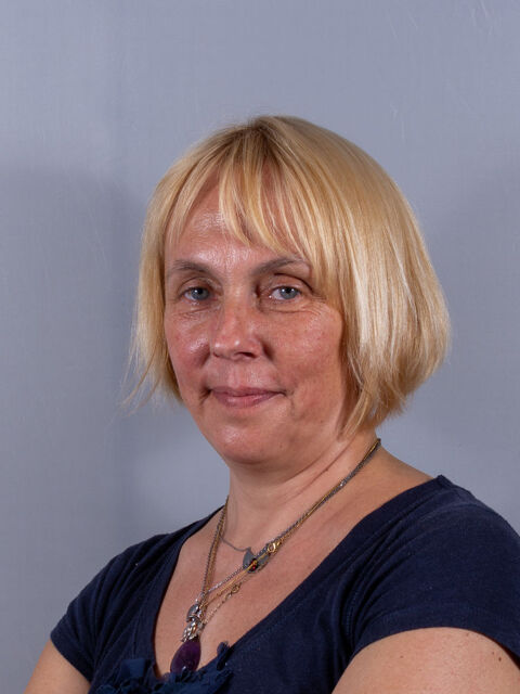 jeune femme sérieuse cherche quelques de repassage 0 69290 Craponne