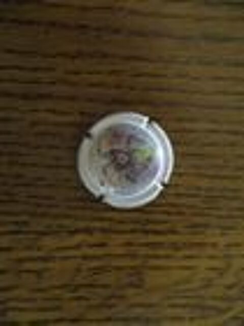 Un muselet de champagne 0 M�rignies (59)