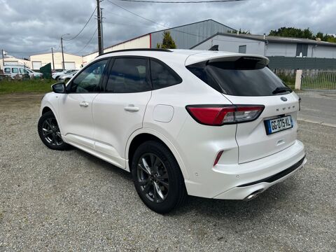 Ford Kuga 2.5 Duratec 190 ch FlexiFuel FHEV E85 Powershift ST-Line 2022 occasion Lanester 56600