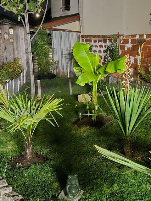 Pur mon m&acirc;le herman, rec femelle  agee 77..75 0 93800 �pinay-sur-seine