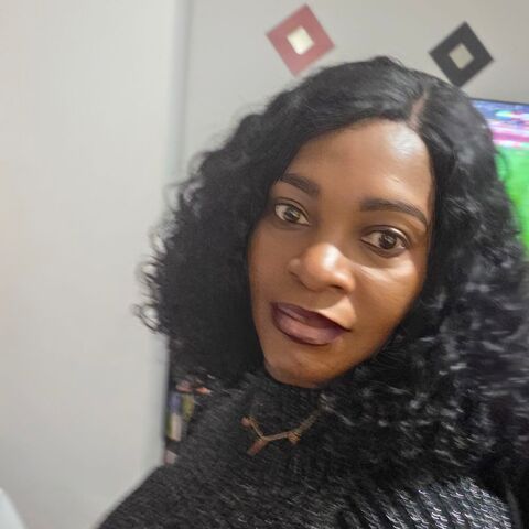 Cherche heures de m&eacute;nage dans une famille  0 94550 Chevilly-larue