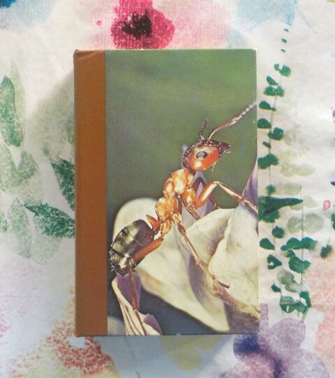 LA VIE DES TERMITES LA VIE DES FOURMIS par M. MAETERLINCK 5 Bubry (56)