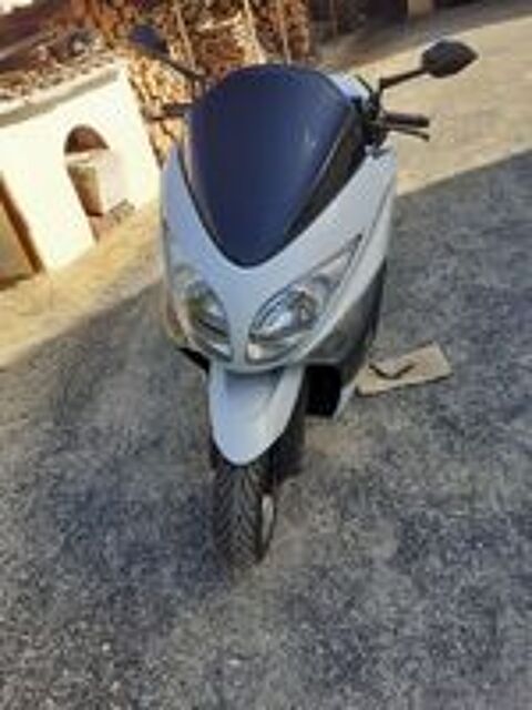 YAMAHA 2010 occasion 66560 Ortaffa
