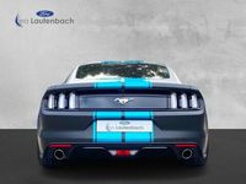 Mustang Fastback V8 5.0 421 GT 2016 occasion 69007 Lyon