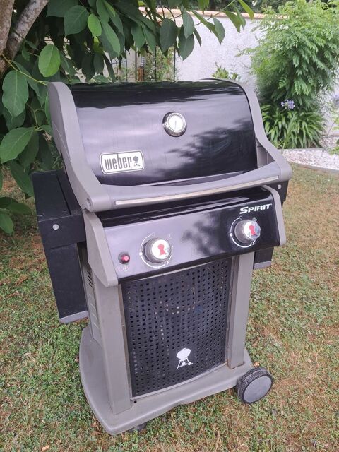 Barbecue weber 170 Le Passage (47)