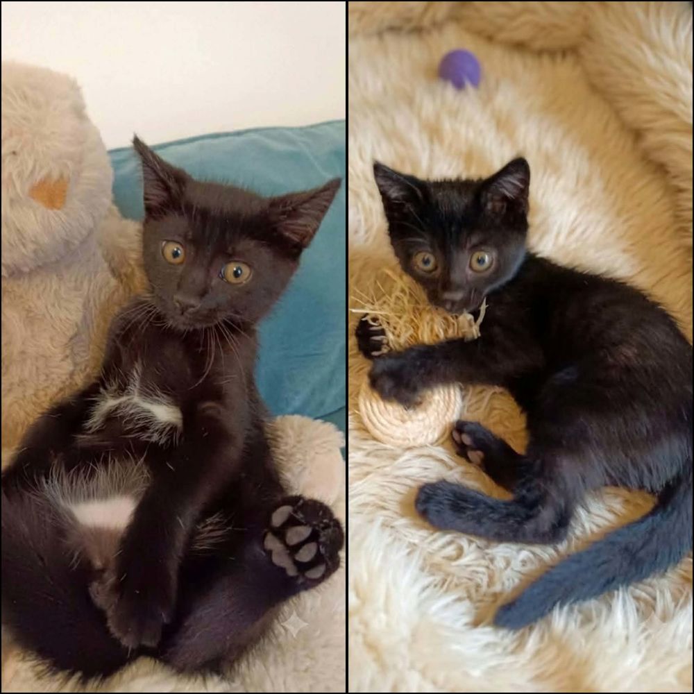   AIKO et OTIS 