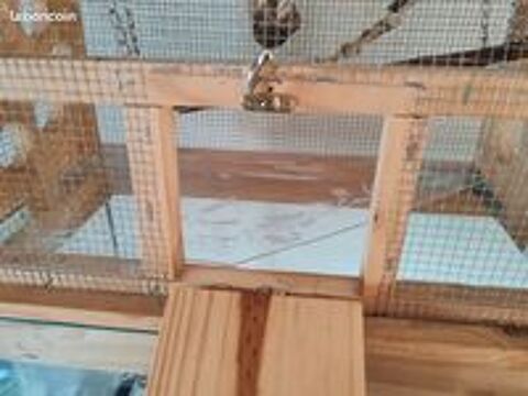   Terrarium rongeur (souris/hamster) 