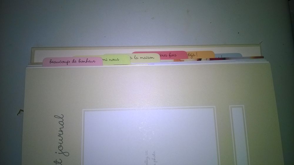 Journal De Mon B&eacute;b&eacute; 
Javelle Pierre
2003
Neuf
Livres et BD