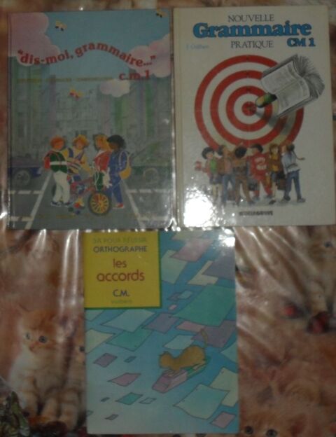 3 livres de Fran�ais cycle 3 en excellent �tat. 17 Montreuil (93)