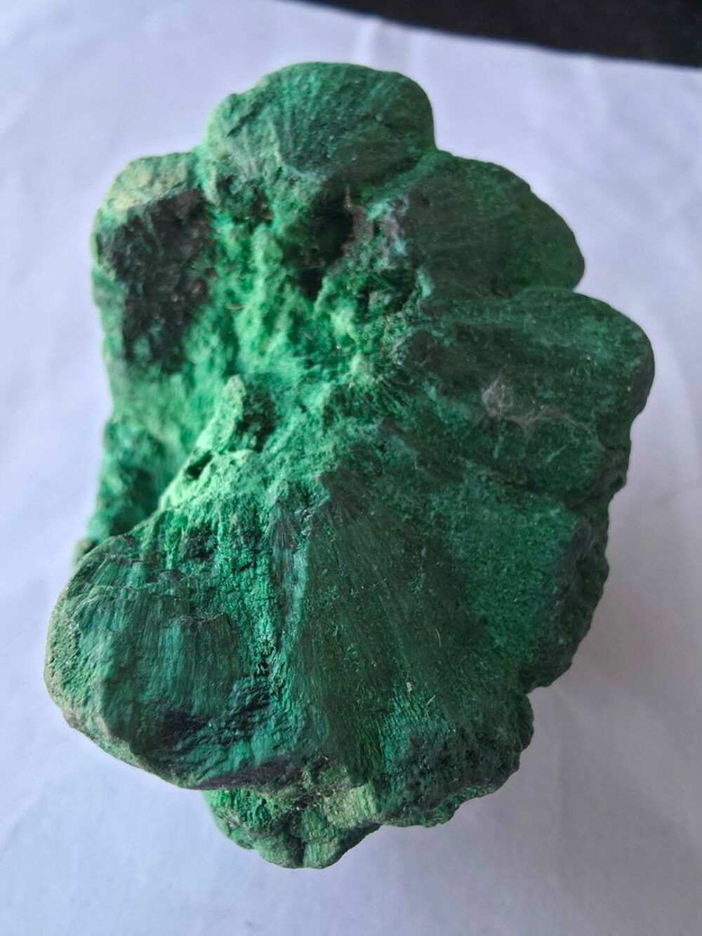Rare Malachite Fibreuse Velout&eacute;e Katanga RDC-Collection 193g 