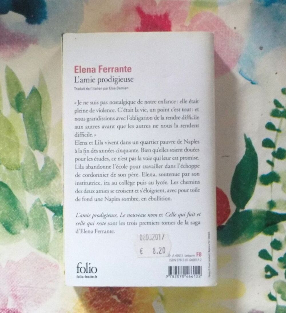 L'AMIE PRODIGIEUSE de Elena FERRANTE Ed. Folio Jardin
