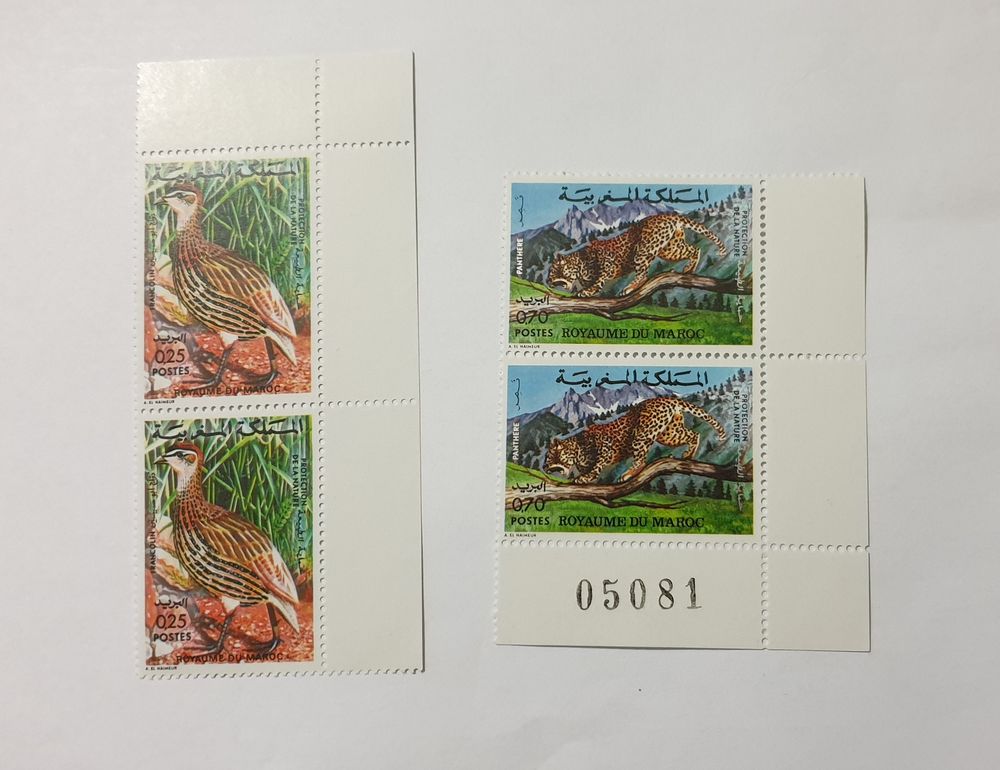 Timbre Maroc 1974 les animaux neuf avec gomme
