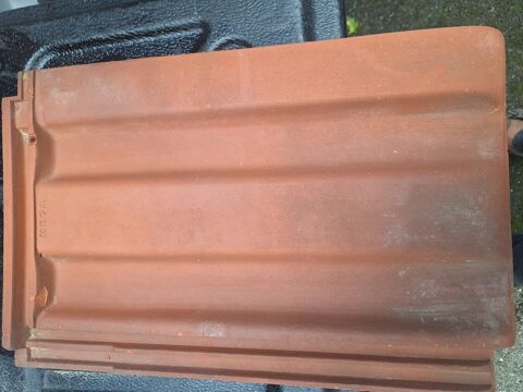 220 tuiles Migeon kandern 110 Habsheim (68)