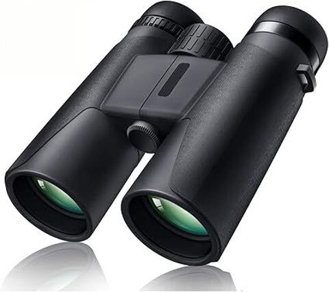 Jumelles  Professionnelles 38 Navarrenx (64)