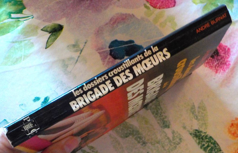 LES DOSSIERS CROUSTILLANTS DE LA BRIGADE DES MOEURS Livres et BD