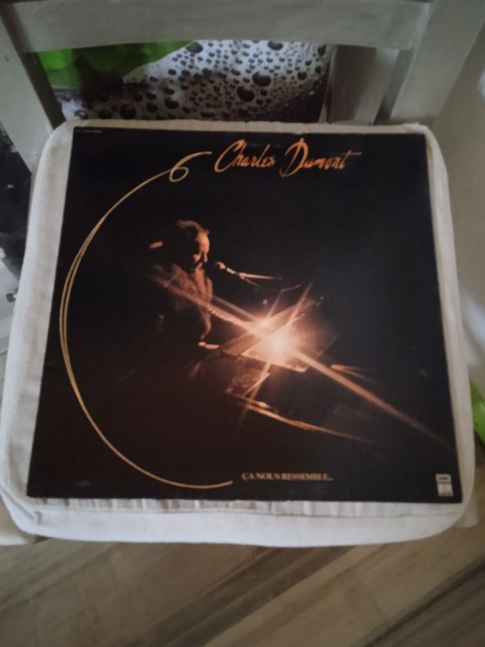 Vinyle Charles Dumont
&Ccedil;a Nous Ressemble
1979 CD et vinyles