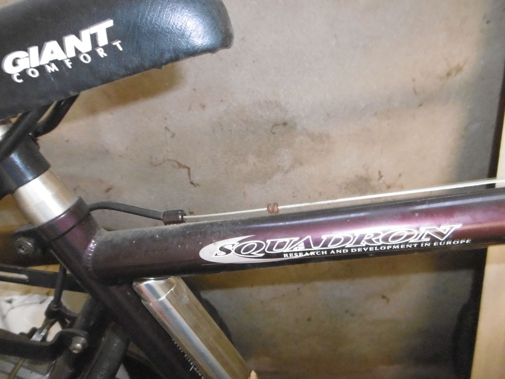 V&eacute;lo TTC. Sports