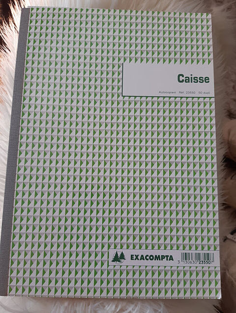 Livre de caisse comptabilit 50 pages ? Exacompta rfrence 6 Saint-Martin-d'Hres (38)
