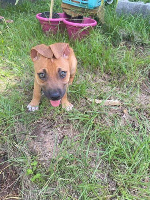 NUSTY le bout de chou 300 51000 Ch�lons-en-champagne