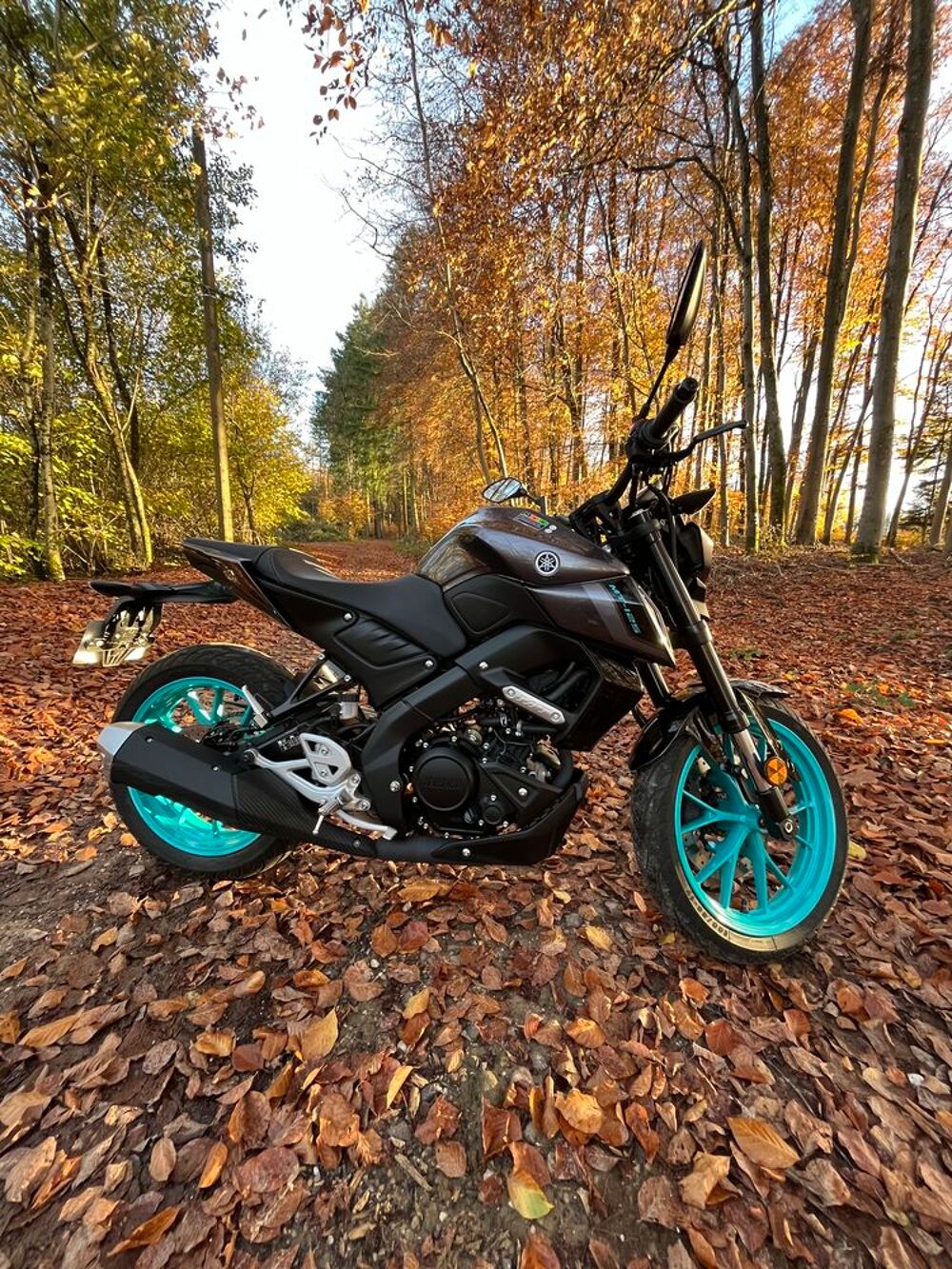 YAMAHA 2025 occasion 88000 &Eacute;pinal