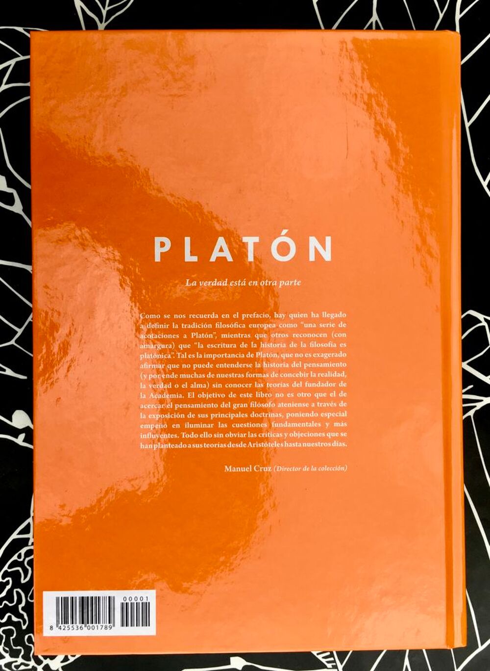 PLATON; La verdad est&aacute; en otra parte de D.Maschio;Livre neuf Livres et BD