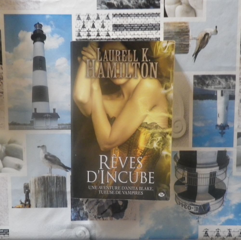 ANITA BLAKE T12 REVES D'INCUBE de Laurell K. HAMILTON Livres et BD