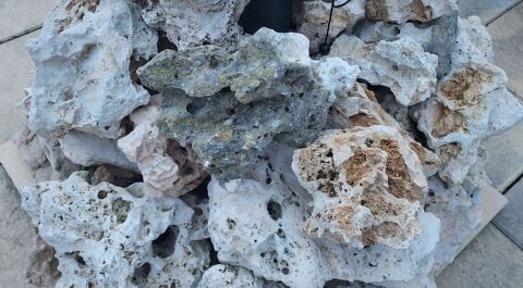 PIERRES AQUARIUM BASSIN 1 30129 Manduel