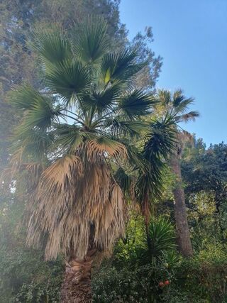  Appartement � vendre 2 pi�ces 46 m�