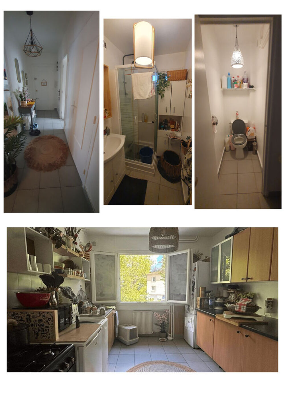 Vente Appartement Hauteur Cours Fauriel T3/T4 Calme et Lumineux de 69 M2 Saint-etienne