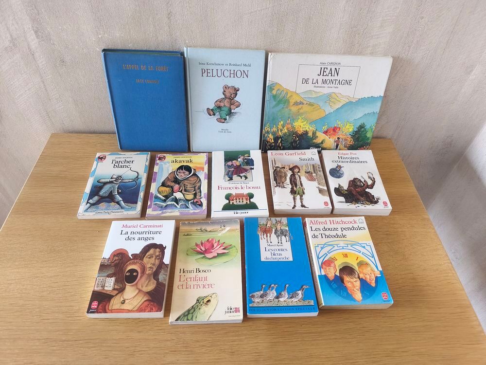 12 livres pour enfants/adolescents Livres et BD