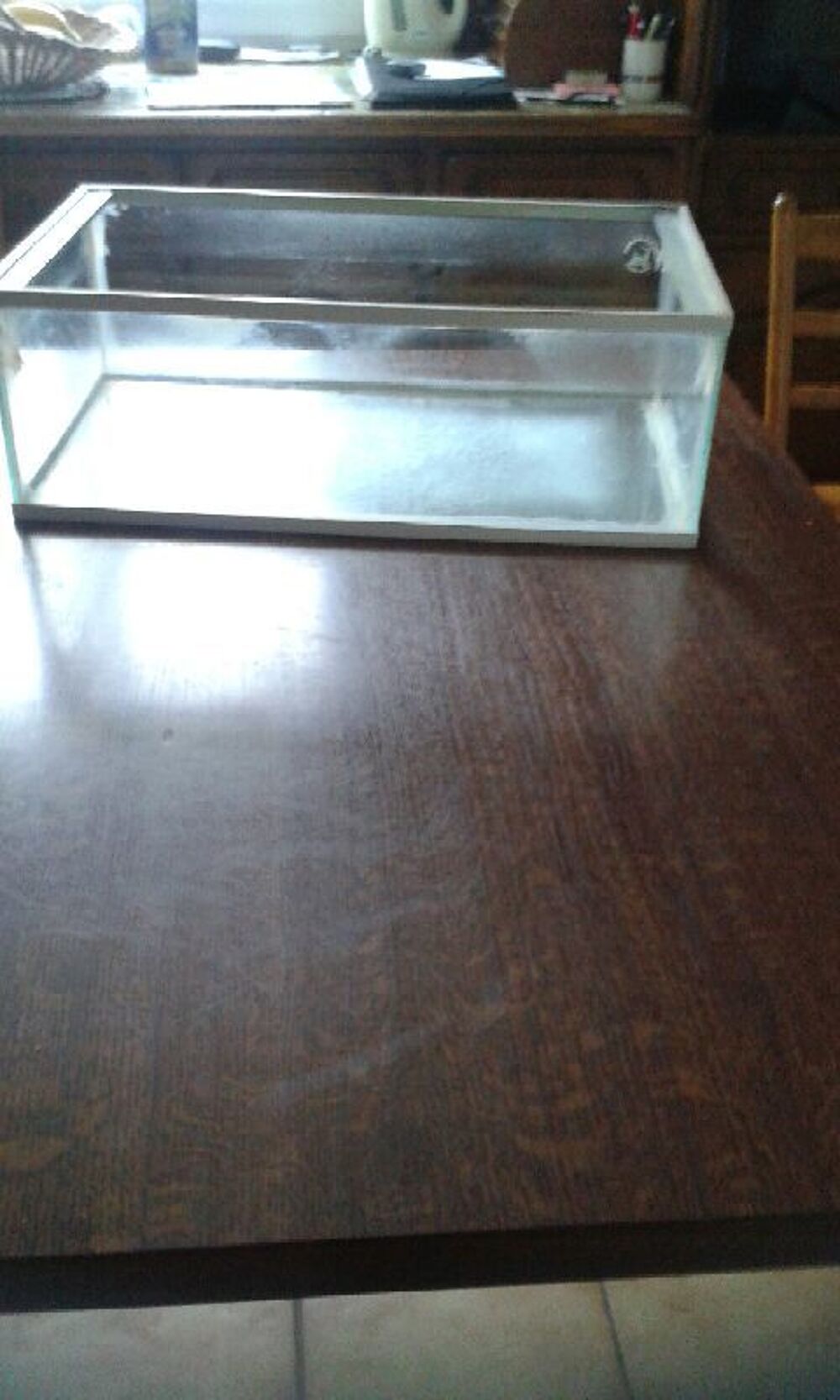   Aquarium pour poissons ou tortue
