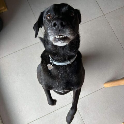 OBY 300 26120 Montvendre