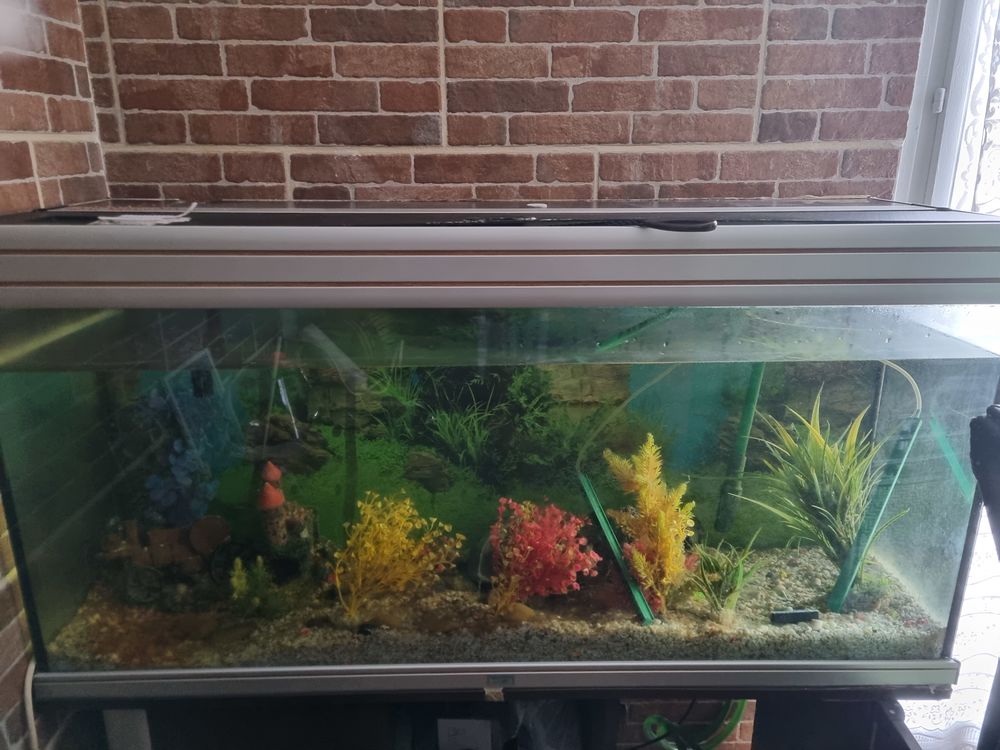 Aquarium Bricolage