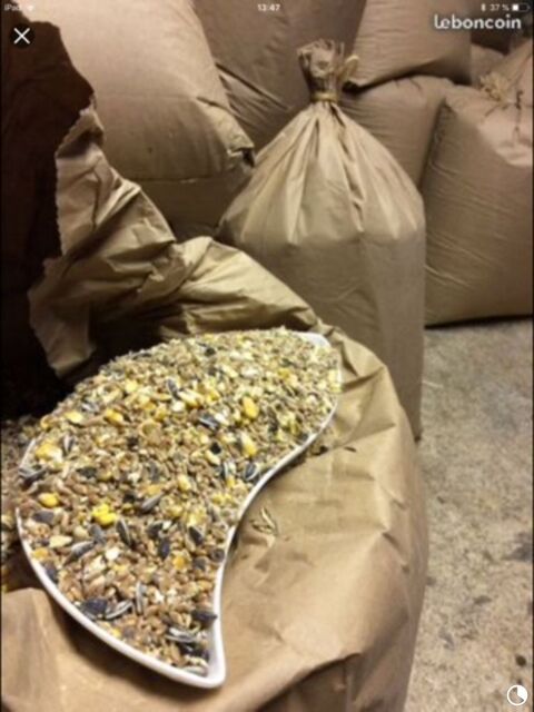 m�lange grain poules pondeuses, paille et foin 4 Villeneuve-Tolosane (31)