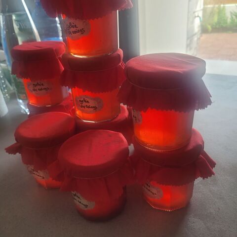 POTS GELÉE DE COING / CONFITURE DE MÛRE - PÊCHE  - FIGUE 3 Sablonceaux (17)