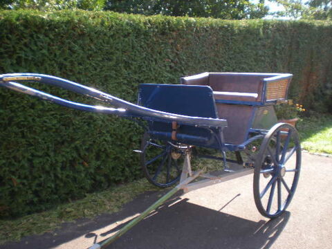 Calche 2 places 1 cheval 1200 Prouse (90)