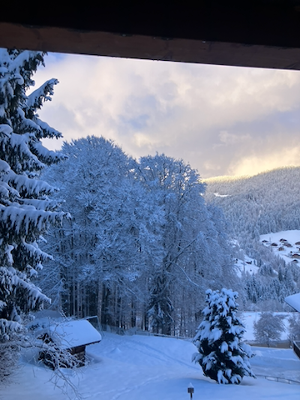   Appartement 3 chambres dans chalet près des pistes Rhône-Alpes, La Clusaz (74220)