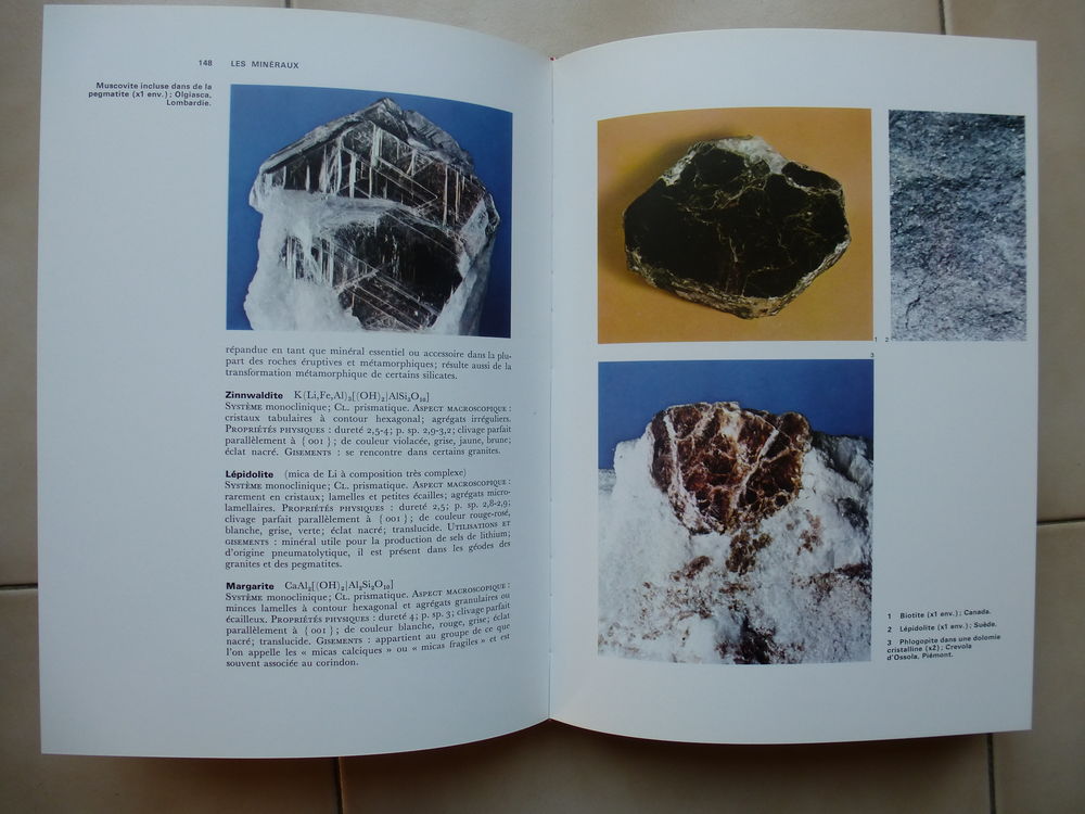 Encyclop&eacute;die de la nature Agnathes et poissons Livres et BD
