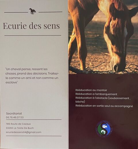 Écurie des Sens : Débourrage et Comportement Équin 0 33260 La teste-de-buch