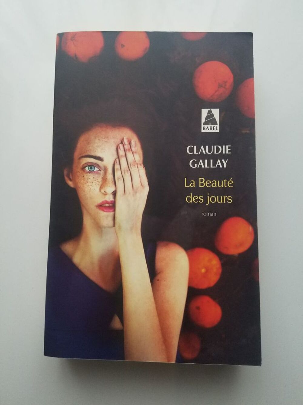 La Beaut&eacute; des jours Broch&eacute; 2017 Claudie Gallay tr&egrave;s bon &eacute;tat Livres et BD