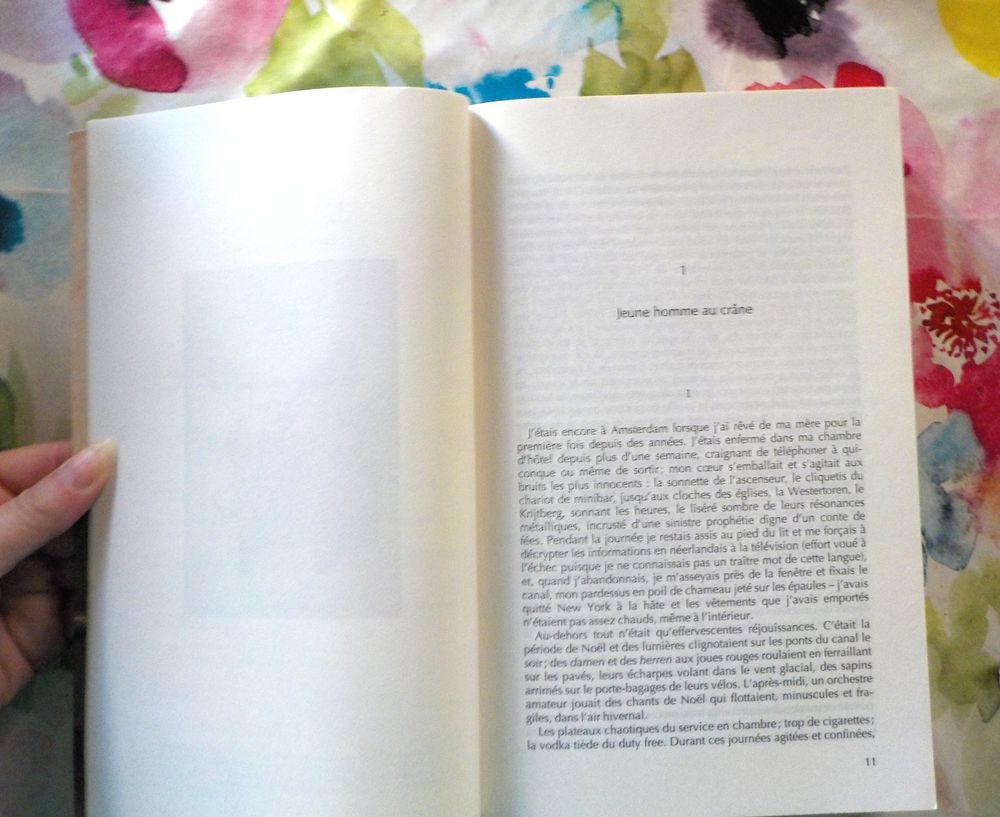 LE CHARDONNERET de Donna TARTT Ed. Feux Crois&eacute;s Livres et BD