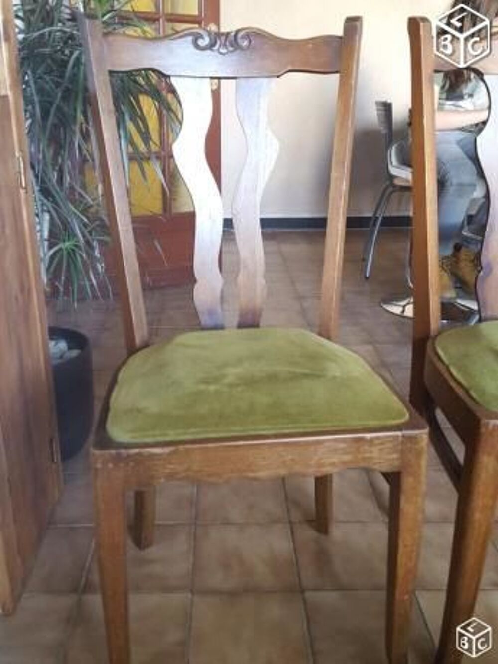 Chaise en bois pour salon Meubles
