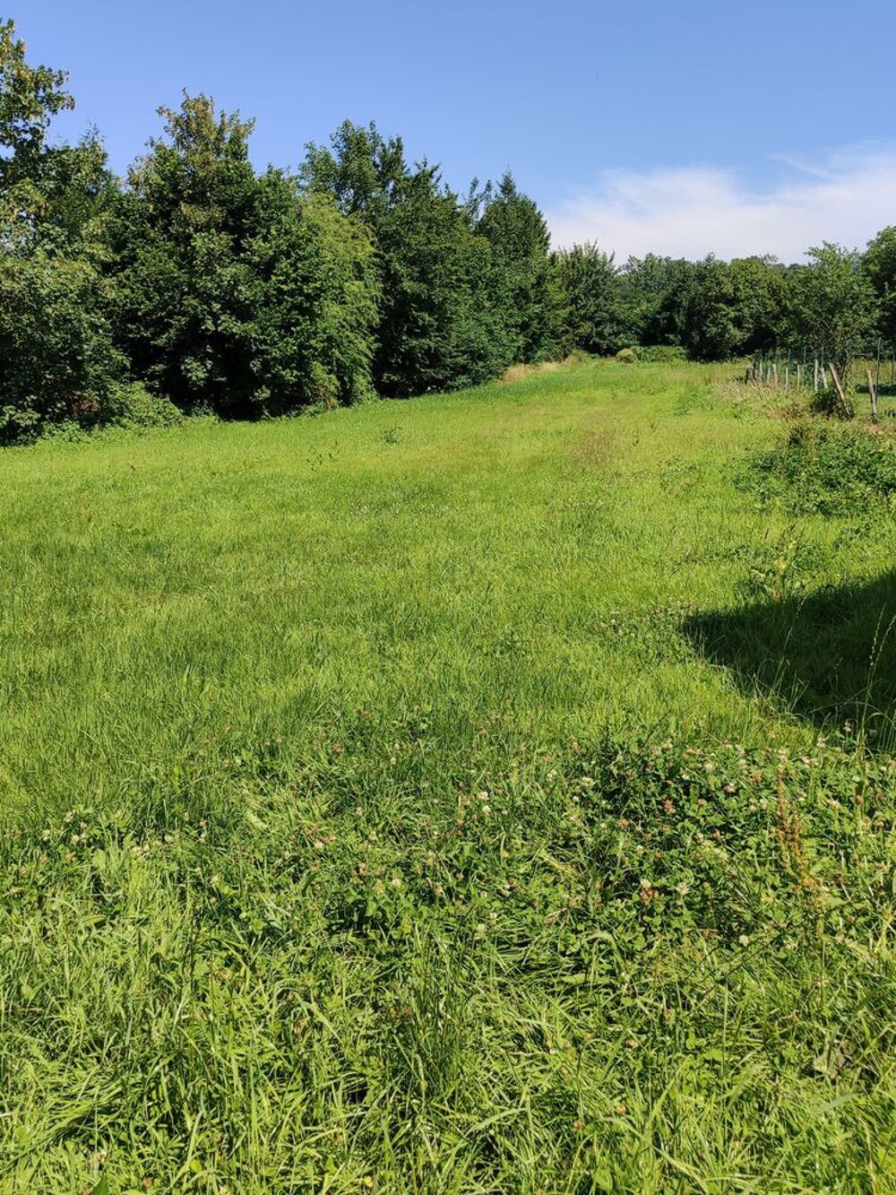 Vente Terrain DEUX MAGNIFIQUES PARCELLES Bernieulles