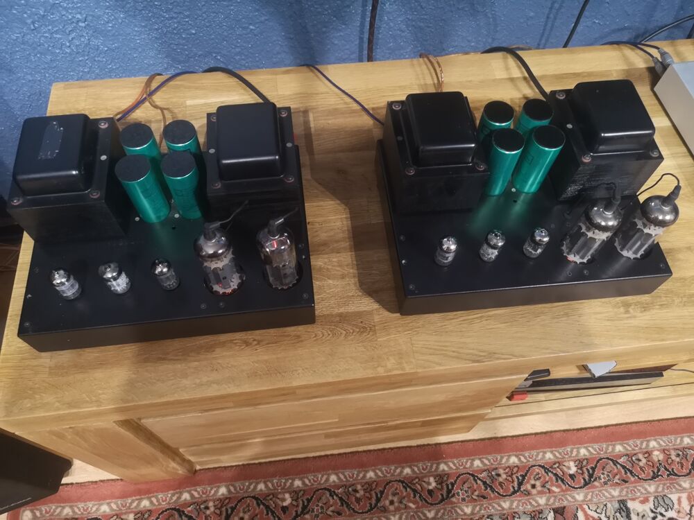 Ampli blocs mono ear Yoshino 509 Audio et hifi